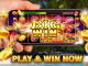 Slots Casino